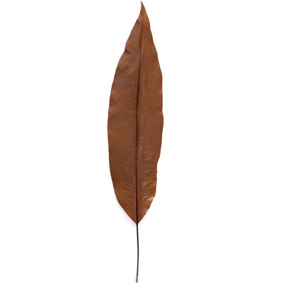 Frunze tropicale H25-35 cm. caramiziu