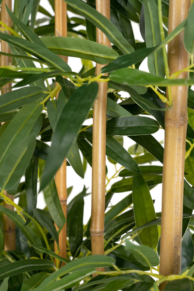Gard artificial din Bambus (lungime x inaltime) W100xH180 cm