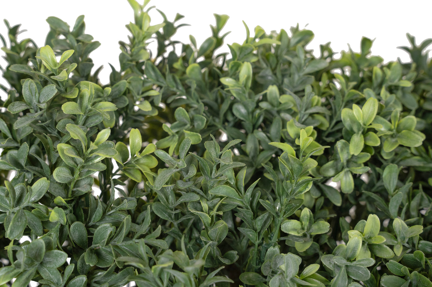 Gard artificial din Buxus H180cm cu lungime 90cm cu protectie UV