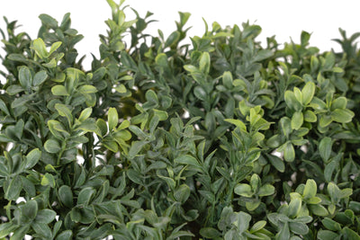 Gard artificial din Buxus H180cm cu lungime 90cm cu protectie UV