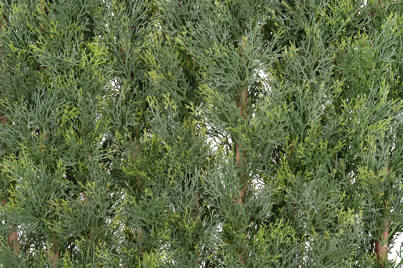 Gard artificial din Cypress H180cm cu lungime 80cm cu protectie UV