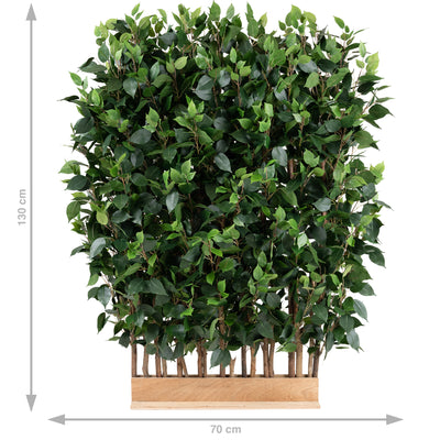 Gard artificial din Ficus H130cm cu lungime 70cm si grosime 50cm cu 3900 frunze