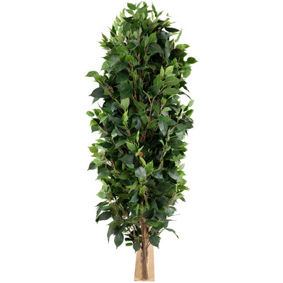 Gard artificial din Ficus H130cm cu lungime 70cm si grosime 50cm cu 3900 frunze