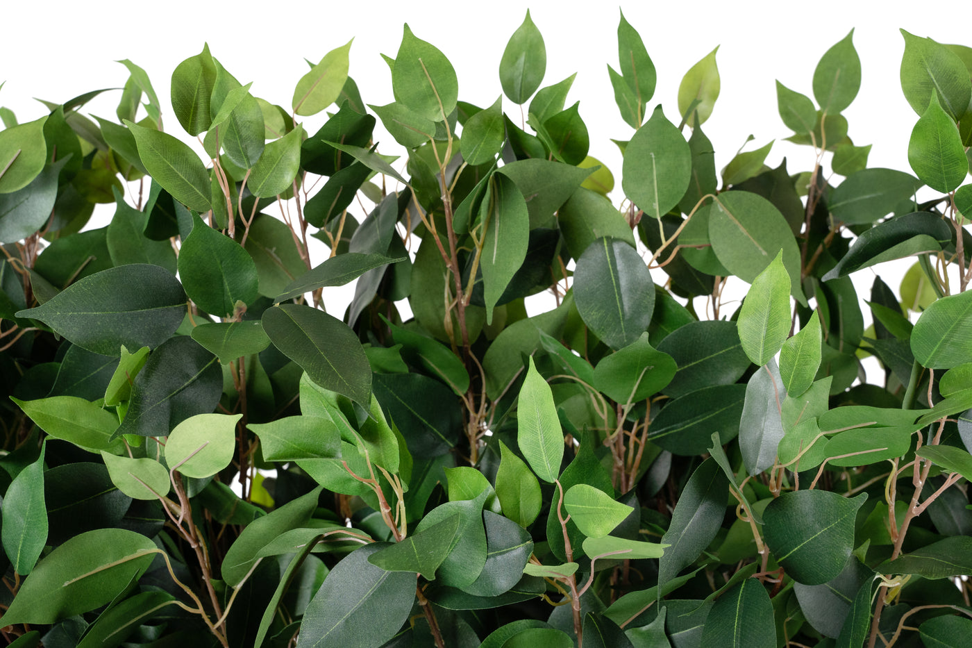 Gard artificial din Ficus H130cm cu lungime 70cm si grosime 50cm cu 3900 frunze