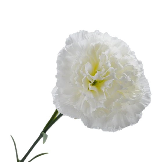 Garoafa artificiala alba D10xH58 cm DE