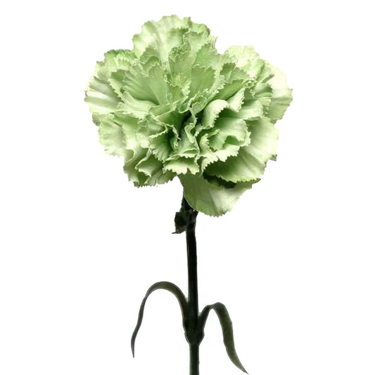Garoafa artificiala verde D9x5xH69 cm HO