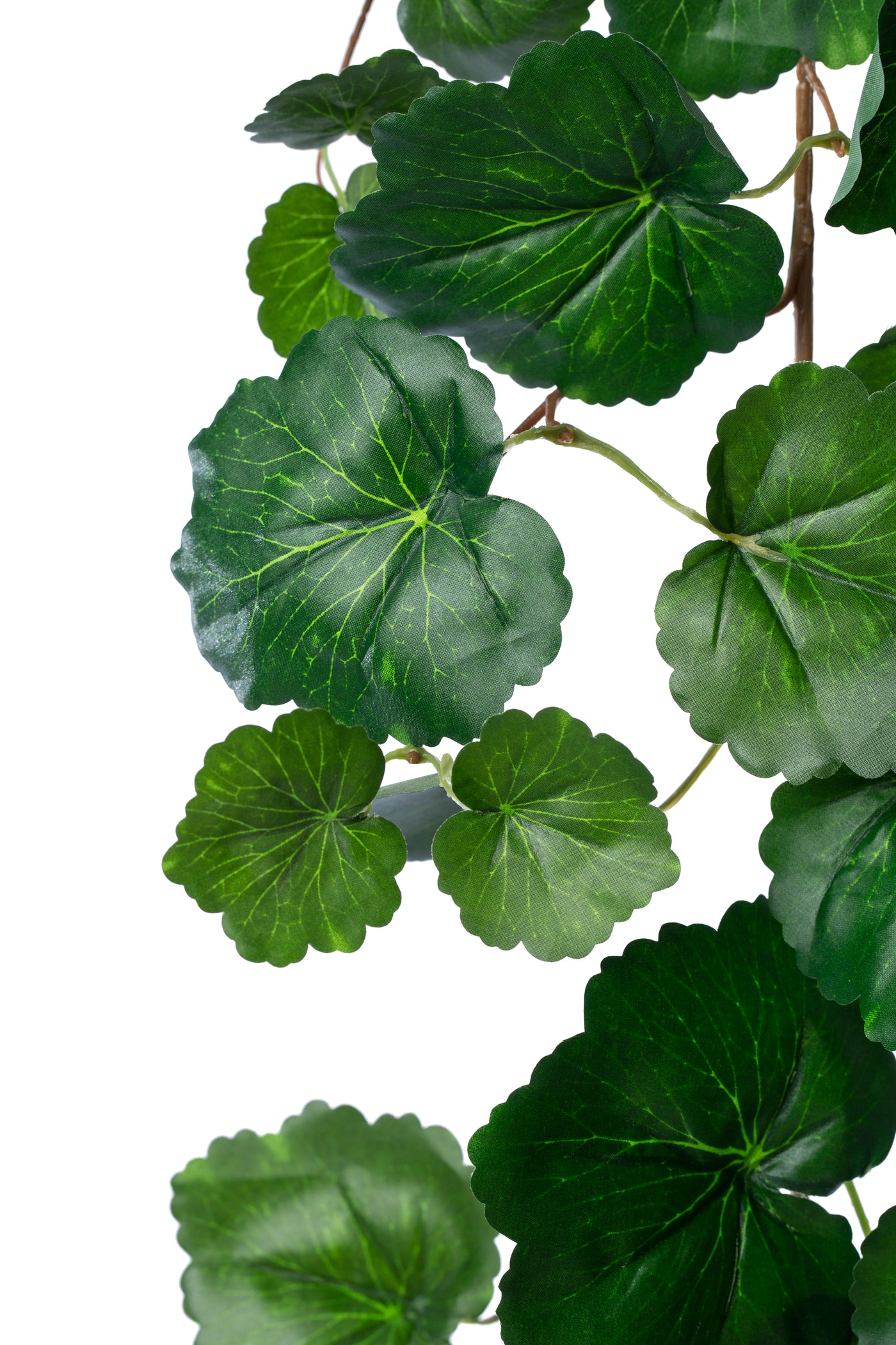 Ghirlanda artificiala muscata 170cm 128 frunze. verde inchis