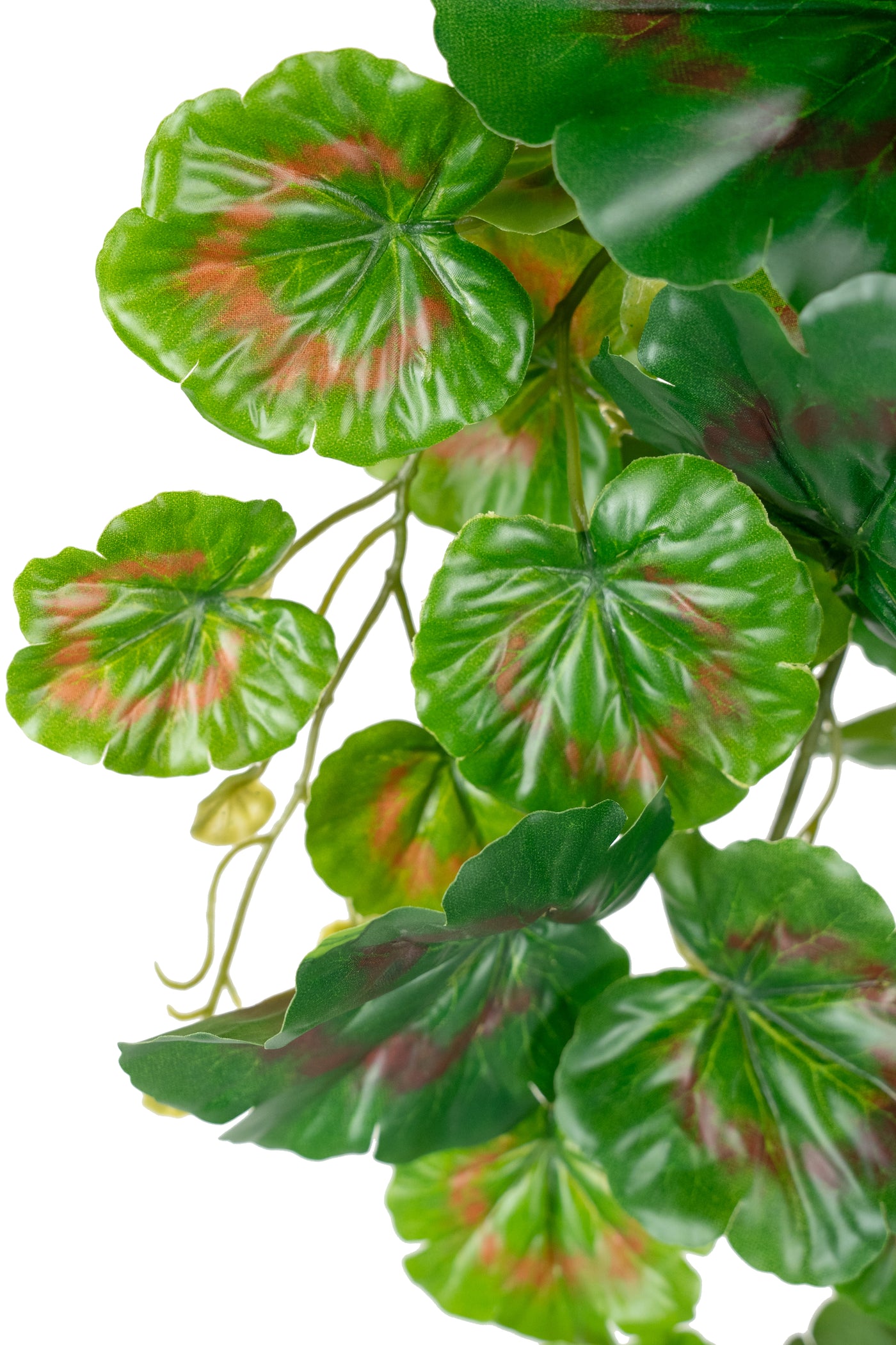 Ghirlanda artificiala muscata 75 cm verde - rosu cu protectie UV