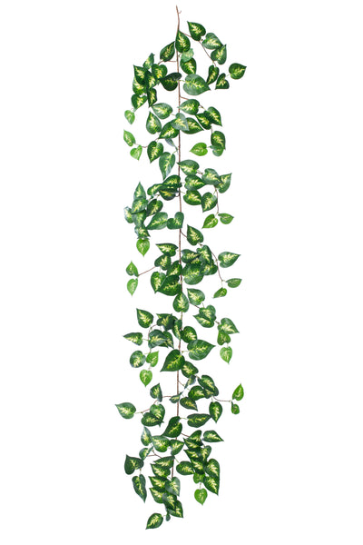 Ghirlanda artificiala pothos 170cm. 138 frunze. verde/galben in mijloc