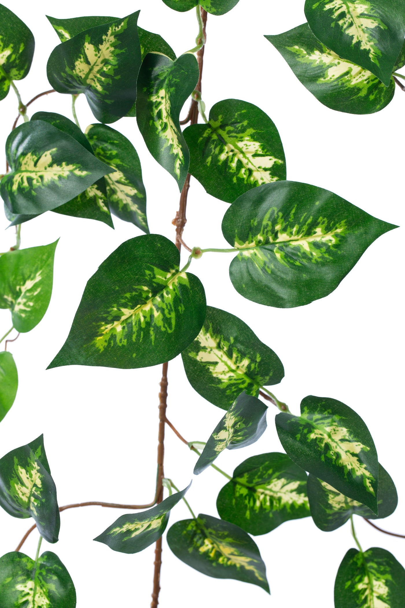 Ghirlanda artificiala pothos 170cm. 138 frunze. verde/galben in mijloc