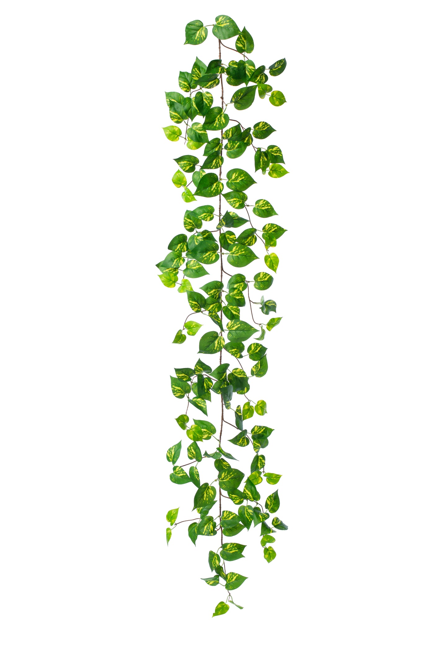 Ghirlanda artificiala pothos 170cm. 138 frunze. verde/galben pe margine