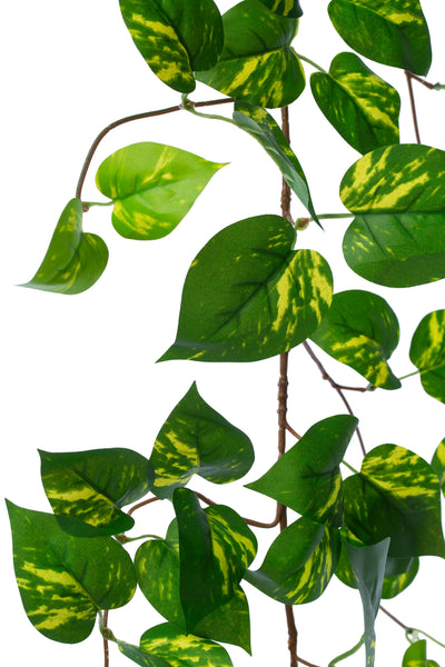 Ghirlanda artificiala pothos 170cm. 138 frunze. verde/galben pe margine