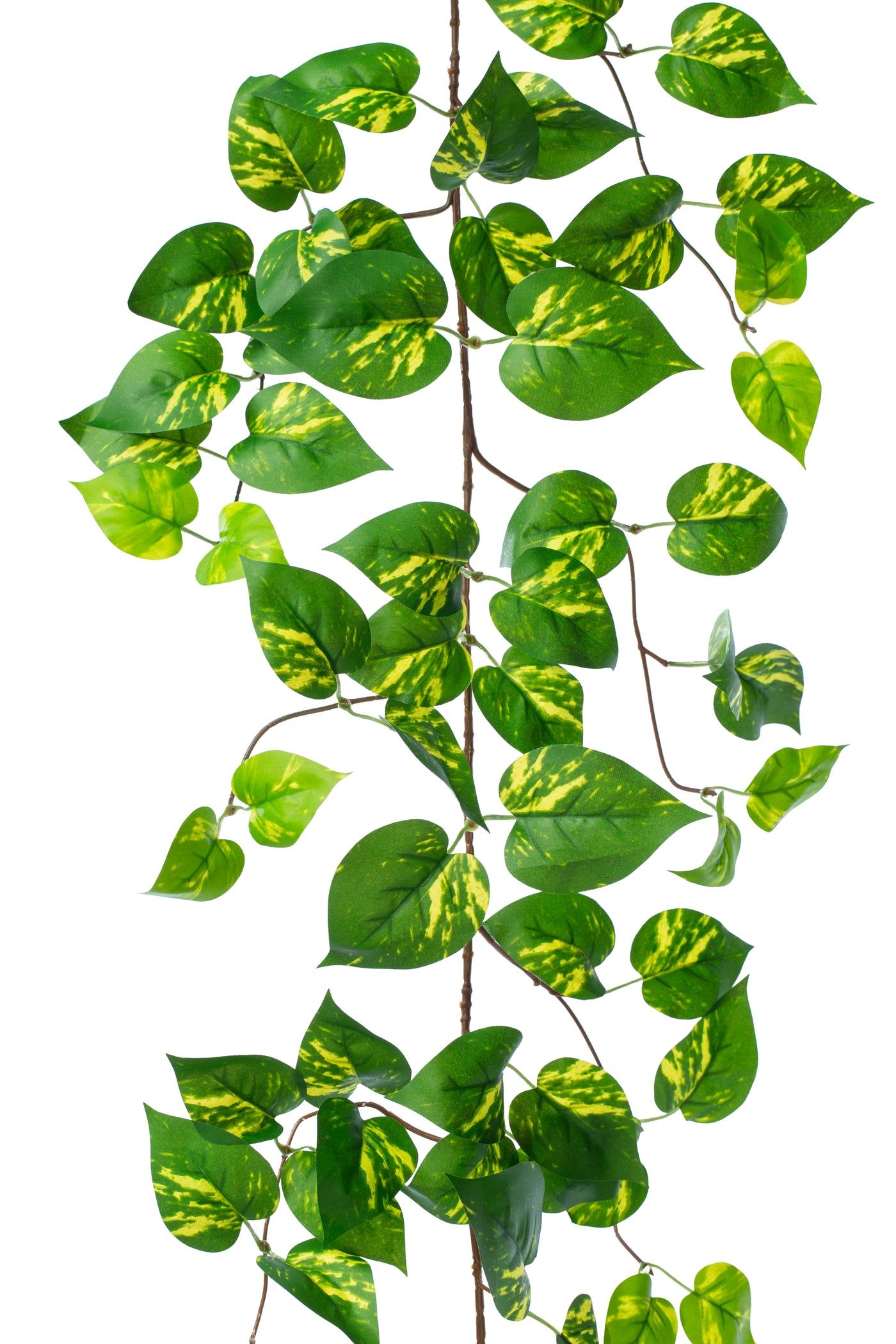 Ghirlanda artificiala pothos 170cm. 138 frunze. verde/galben pe margine