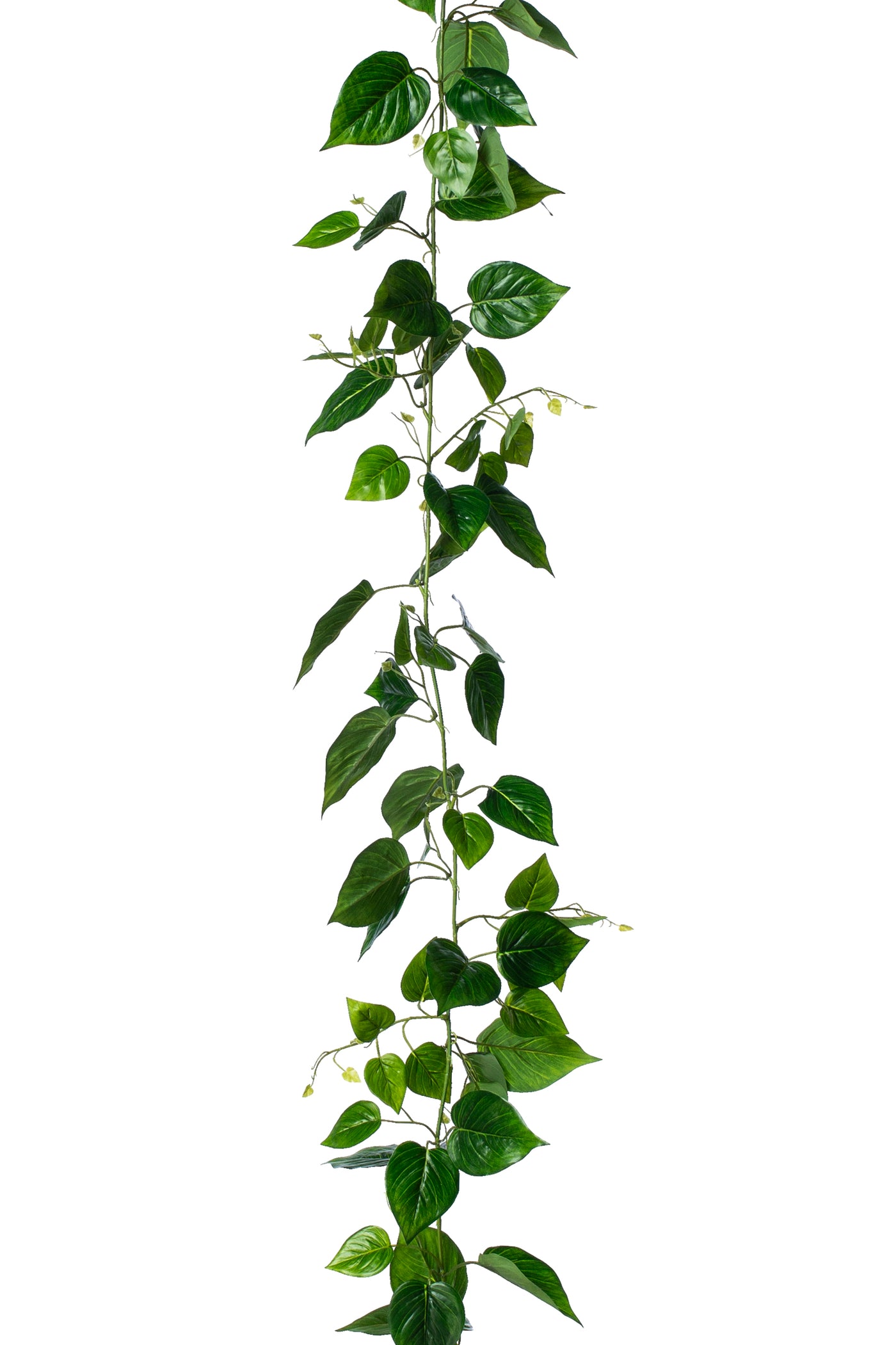 Ghirlanda artificiala scindapsus 220 cm verde cu protectie UV