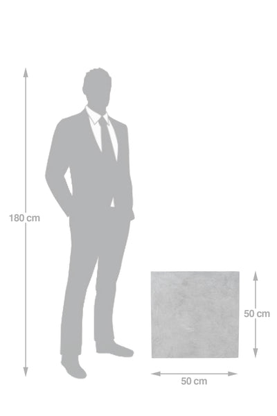 Ghiveci plante 50x50x50 cm gri