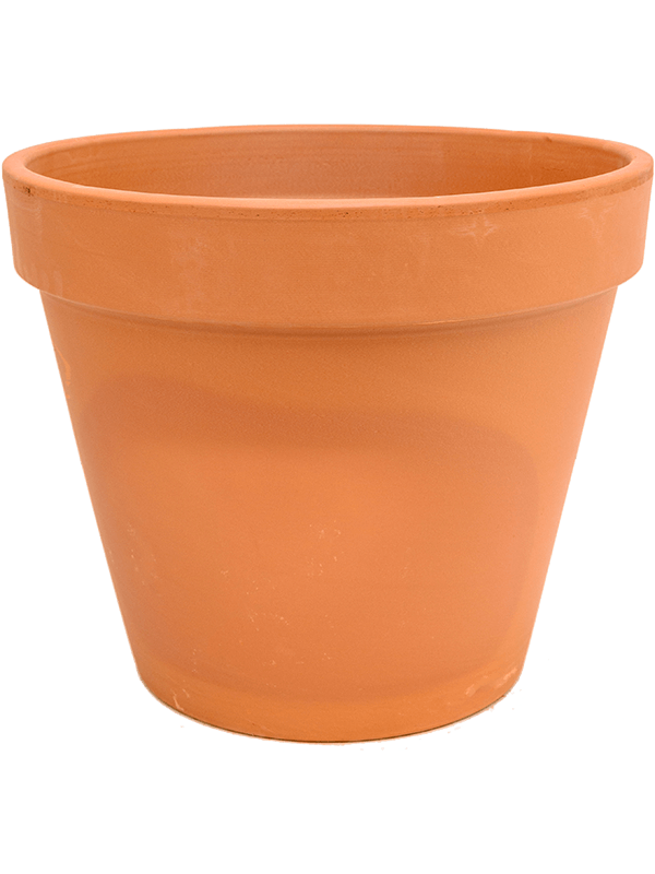 Ghiveci plante D50xH41cm Terra Cotta Flowerpot