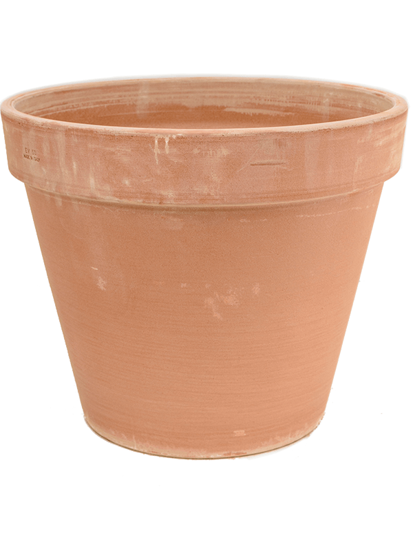 Ghiveci plante D50xH41cm Terra Cotta Flowerpot Antiques