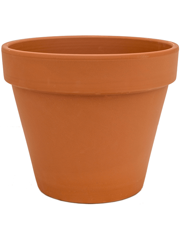 Ghiveci plante D5xH4cm Terra Cotta Flowerpot