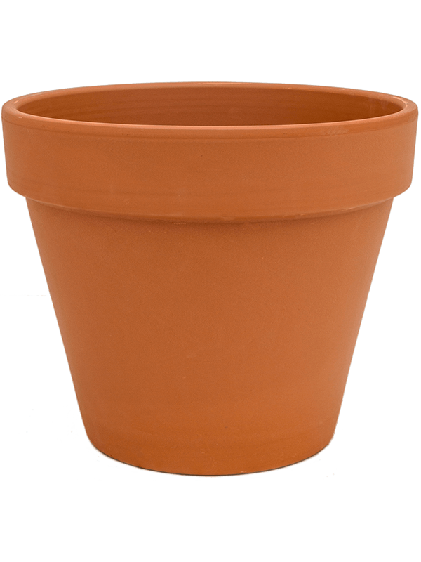 Ghiveci plante D6xH5cm Terra Cotta Flowerpot