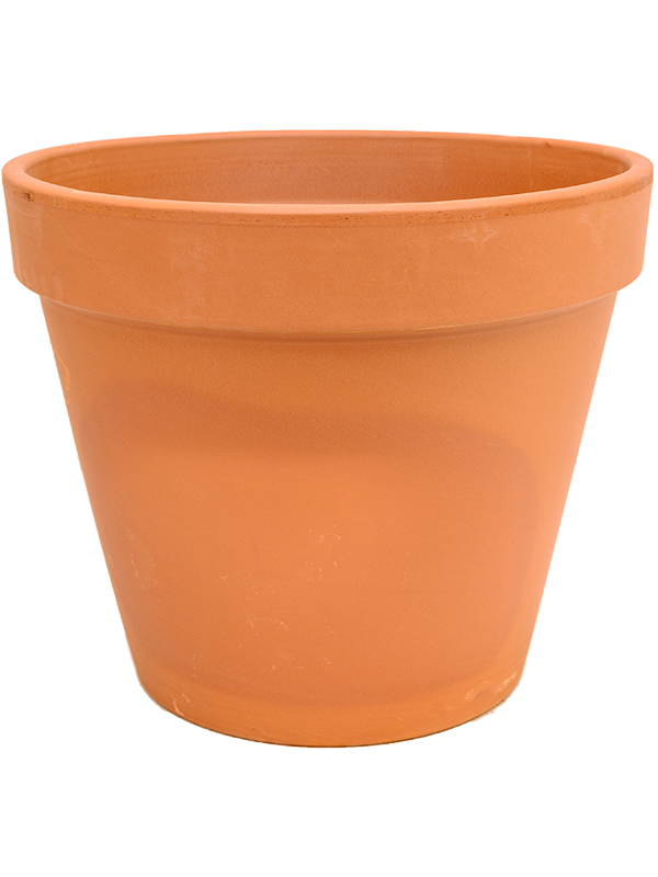 Ghiveci plante D71xH60cm Terra Cotta Flowerpot