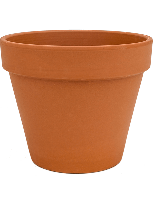 Ghiveci plante D7xH6cm Terra Cotta Flowerpot