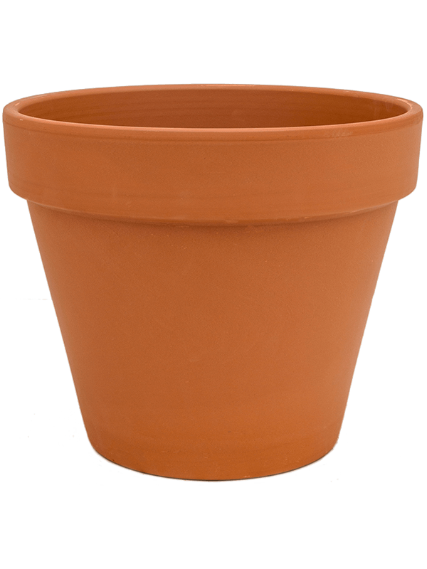 Ghiveci plante D9xH8cm Terra Cotta Flowerpot