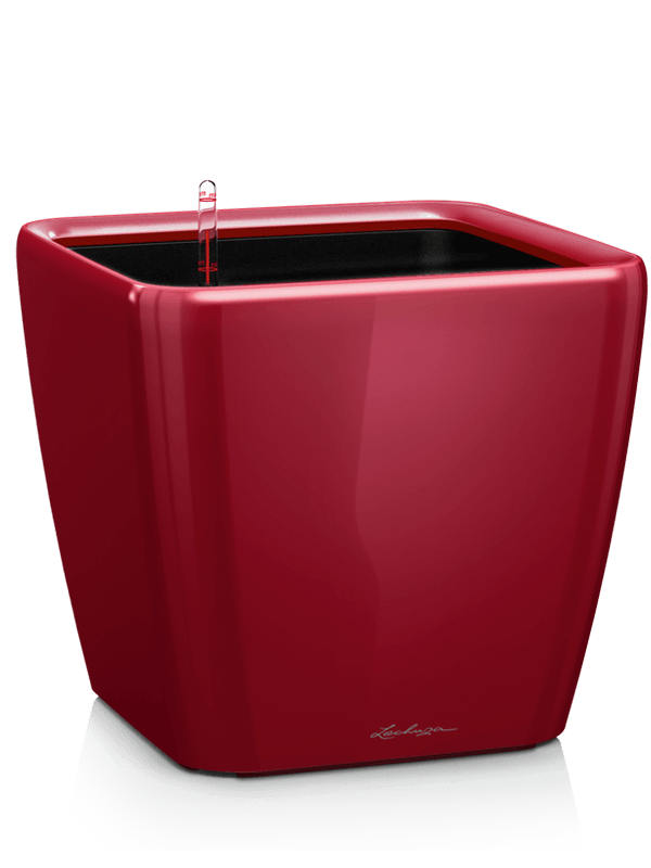 Ghiveci plante L21xW21xH20cm Lechuza Premium Quadro LS 21 All Inclusive Set Scarlet Red High-gloss