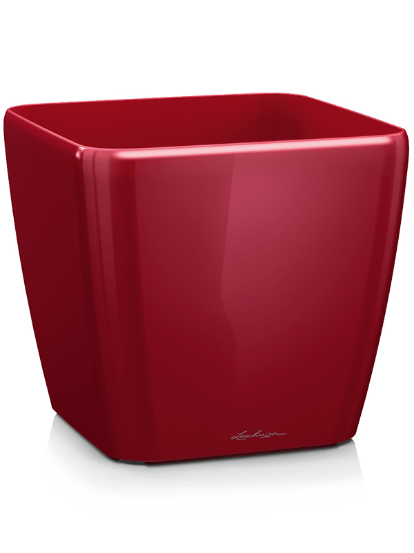 Ghiveci plante L21xW21xH20cm Lechuza Quadro Scarlet Red High-gloss