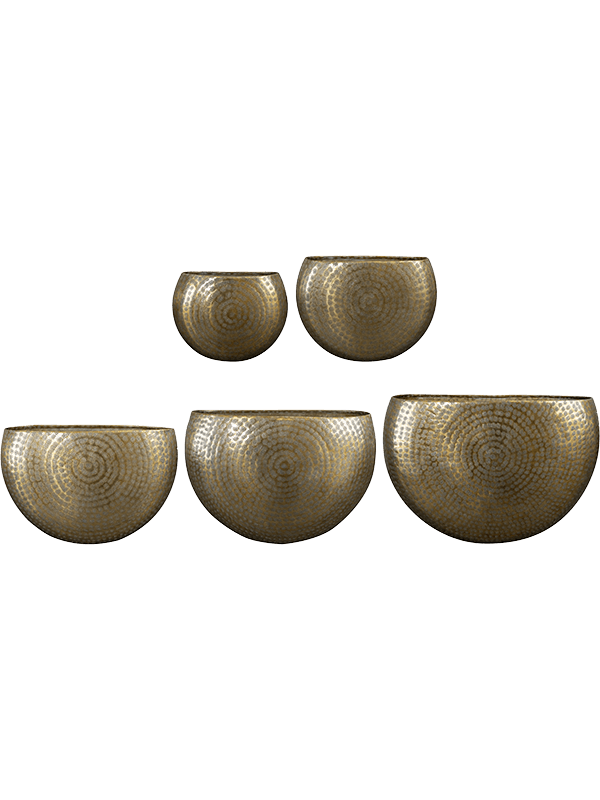 Ghiveci plante L54xW25xH37cm Nynke Planter Gold (set of 5)