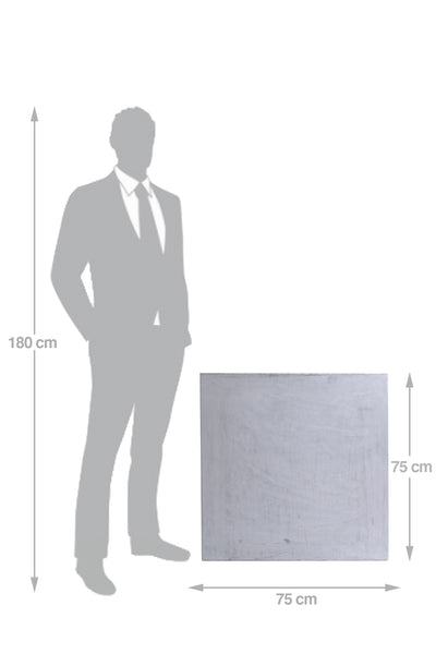 Ghiveci plante L75xW75xH75 gri