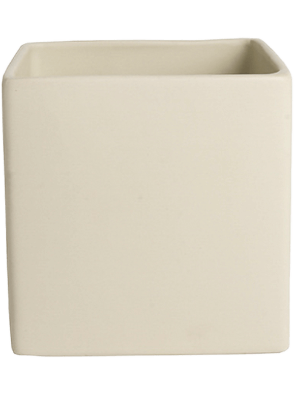 Ghiveci plante L7xW7xH7cm Basic Square Minipot Cream