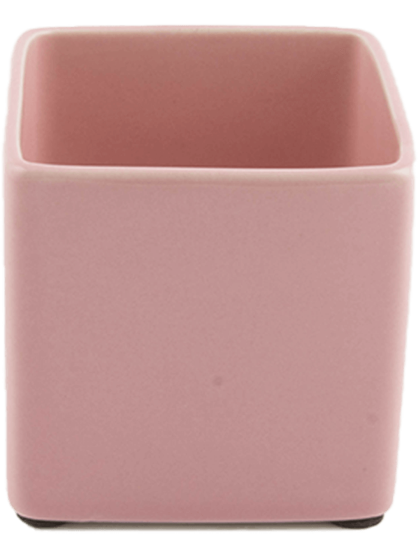 Ghiveci plante L7xW7xH7cm Basic Square Minipot Pink