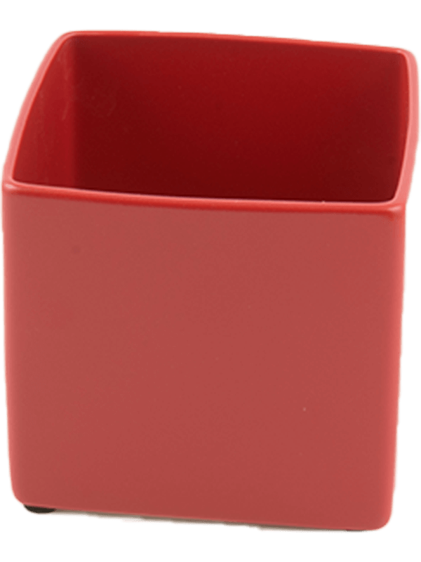 Ghiveci plante L7xW7xH7cm Basic Square Minipot Red