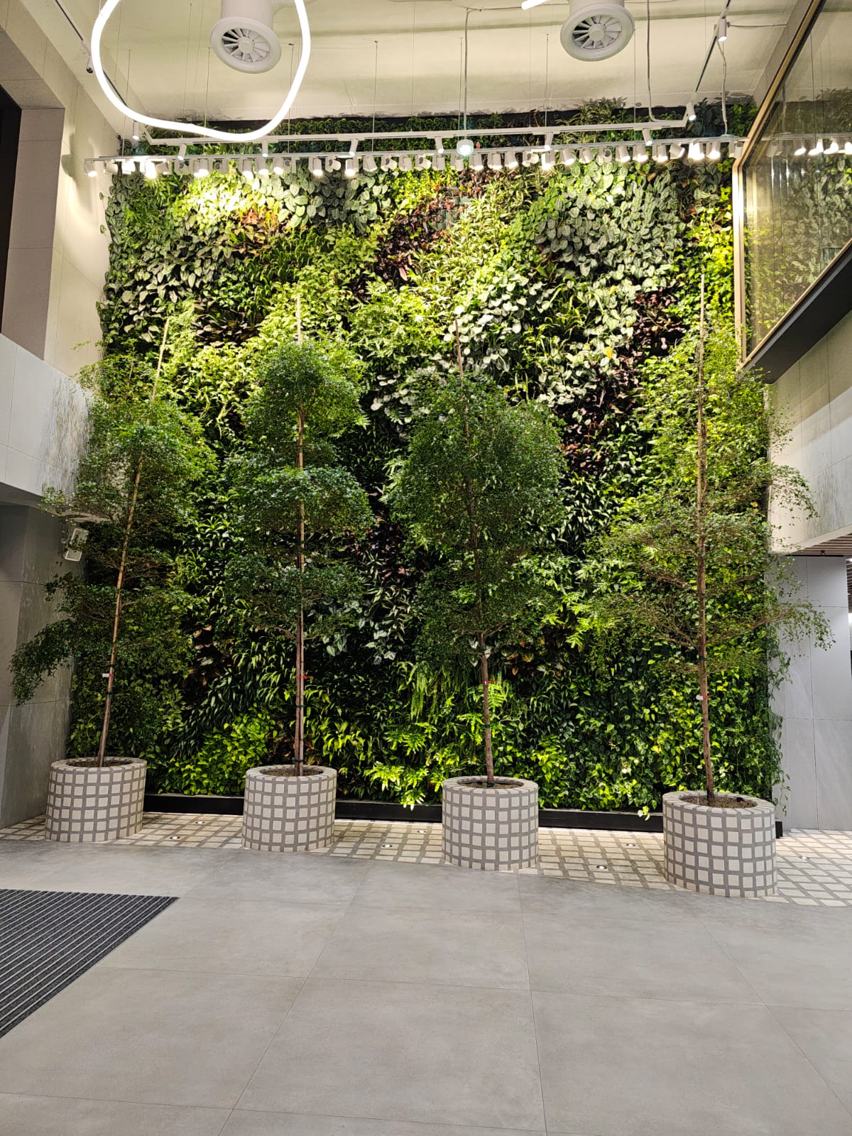 1mp de Gradina verticala cu plante naturale vii pentru interior cu suprafata cuprinsa intre 70-100 mp