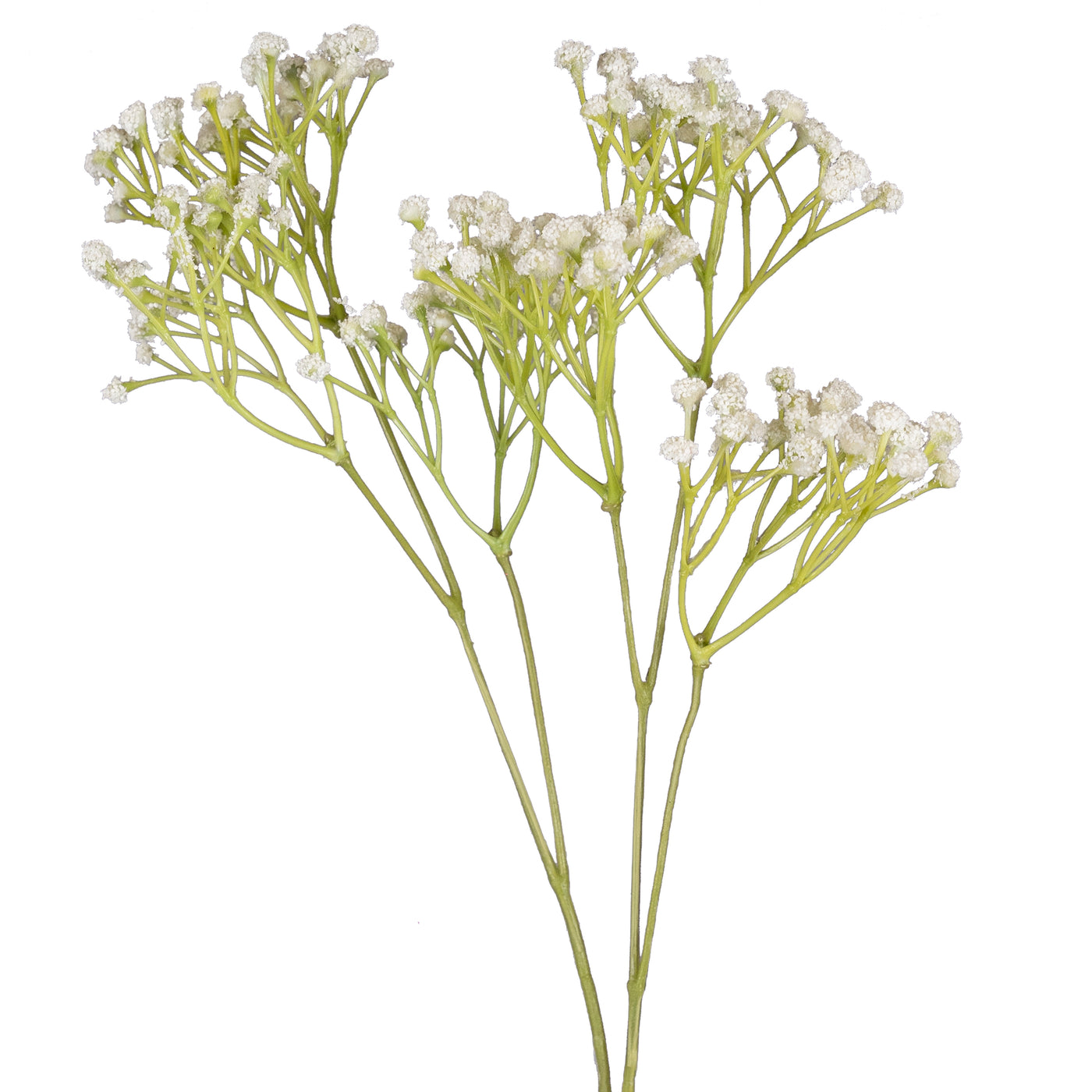 Gypsophila H 57 cm alb