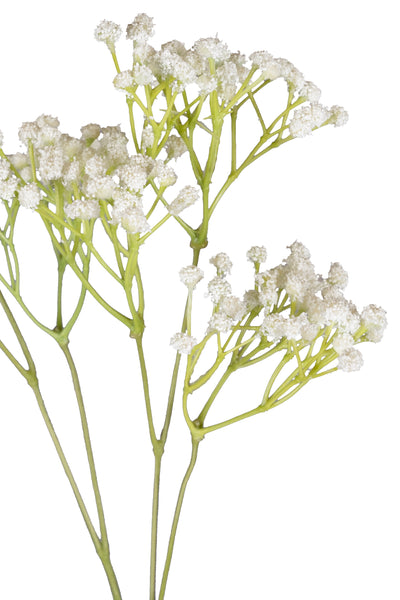 Gypsophila H 57 cm alb