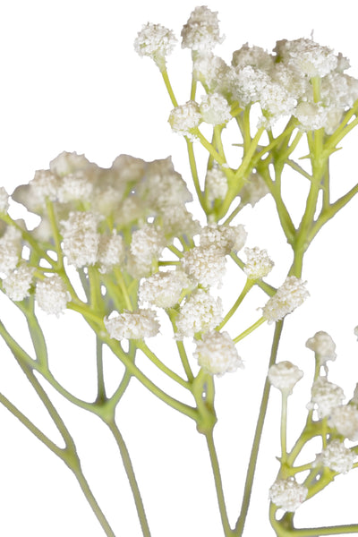 Gypsophila H 57 cm alb