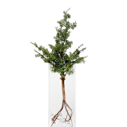 Hemlock artificial H60 cm HO