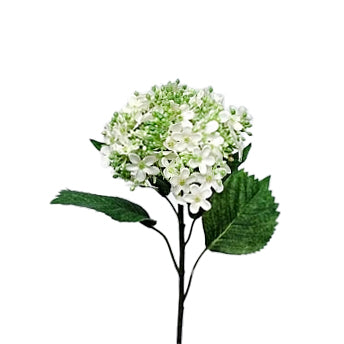 Hortensie artificiala alba D10xH50 cm HO
