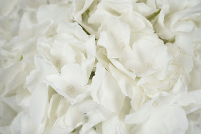 Hortensie artificiala alba D30xH47cm. cu 5 flori