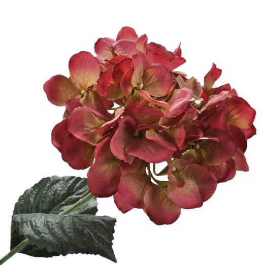 Hortensie artificiala bordeaux H74 cm DE