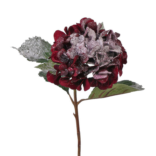 Hortensie artificiala burgundy D15xH70 cm