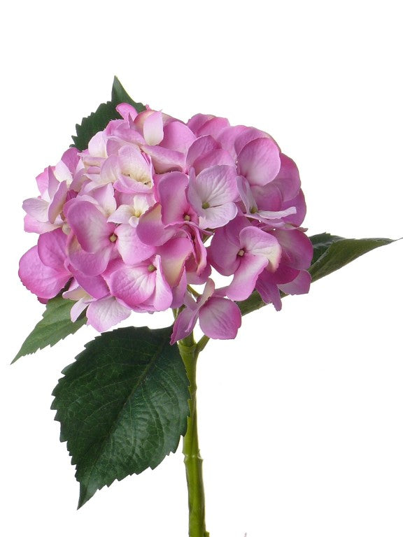 Hortensie artificiala fuchsia D15xH48 cm