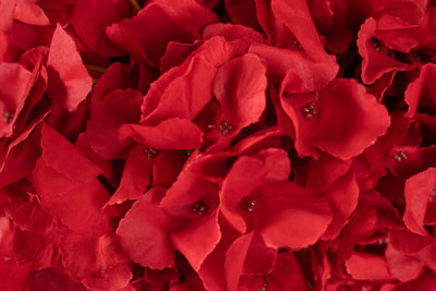 Hortensie artificiala cu 5 flori rosii D30xH47cm
