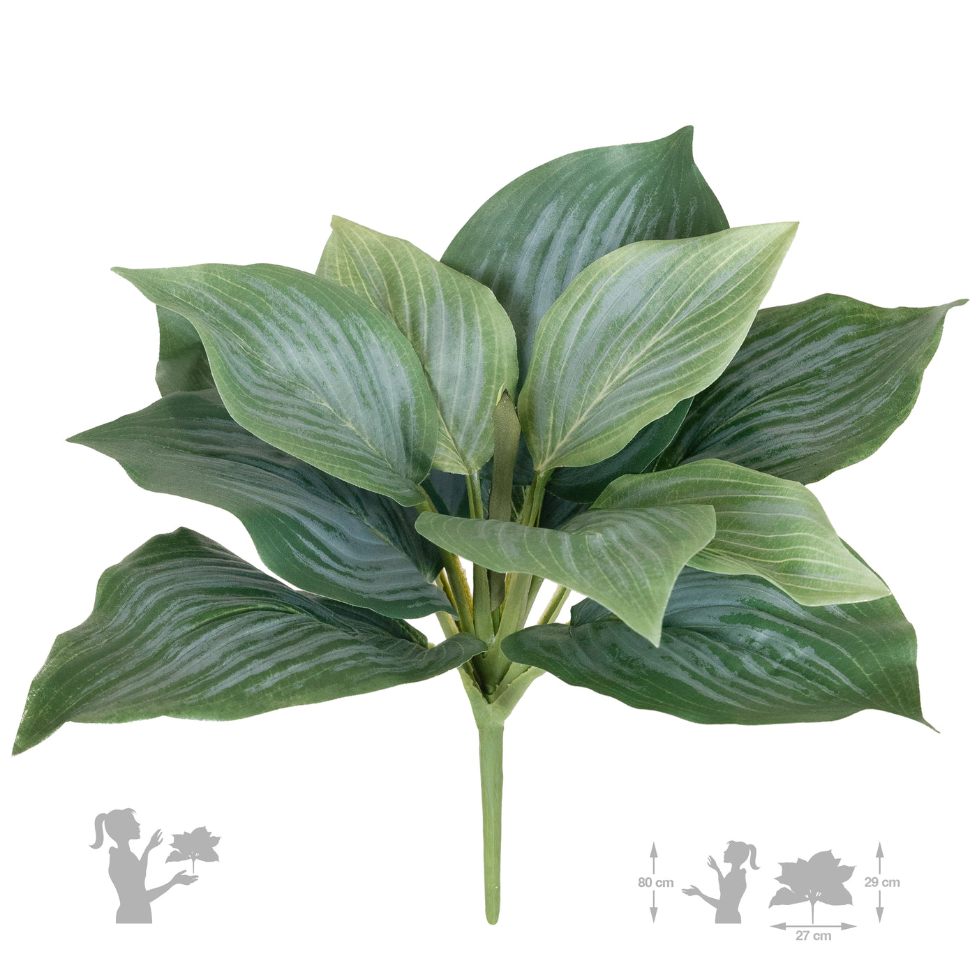 Hosta artificiala verde cu rosu H29 cm