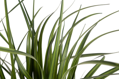Iarba artificiala 93 cm verde