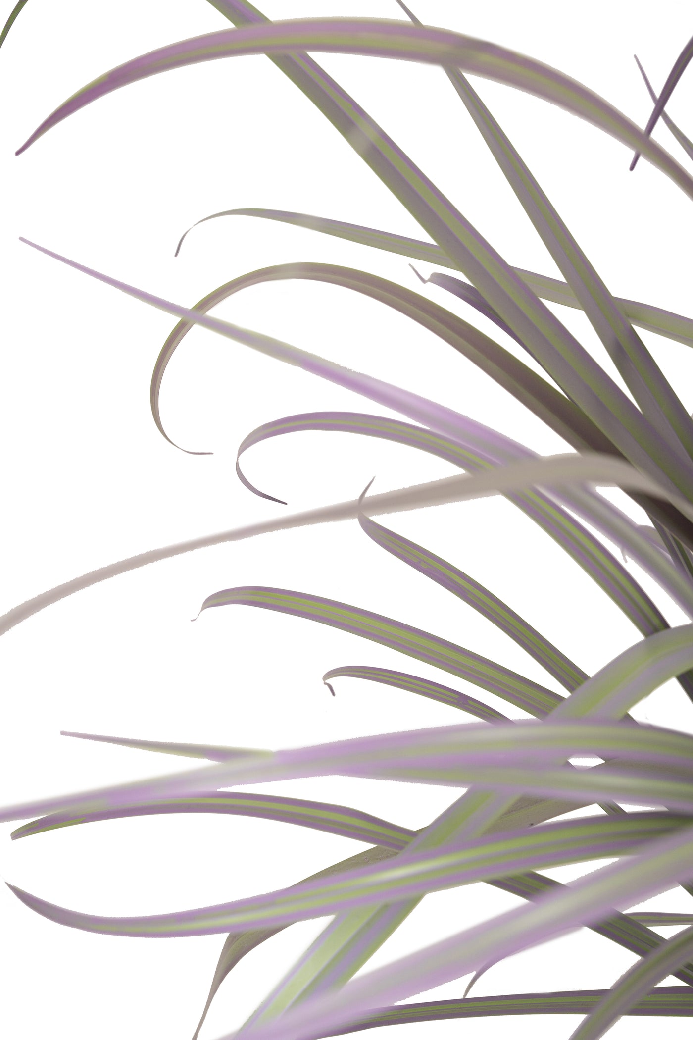 Iarba artificiala 93 cm violet