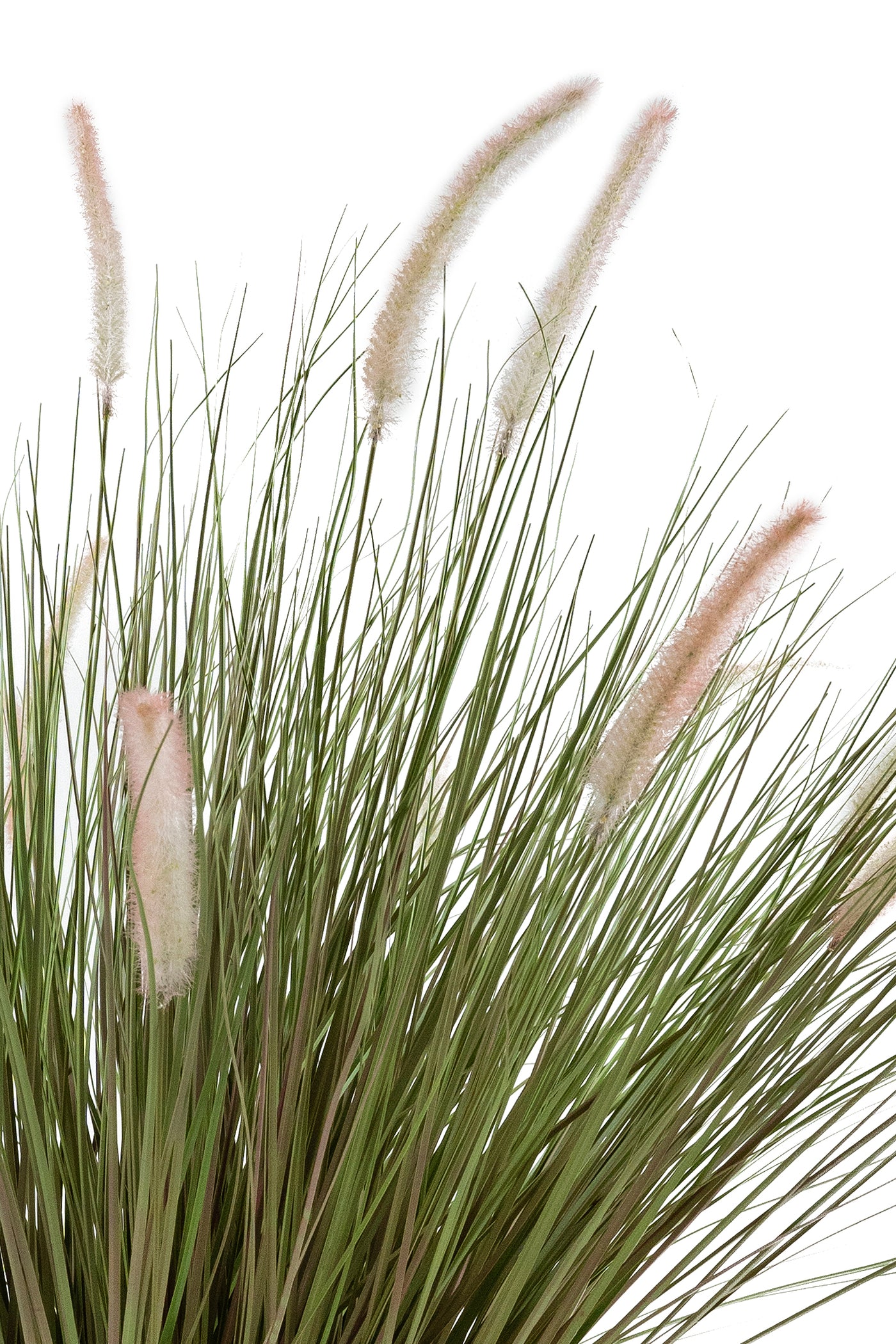 Iarba artificiala foxtail verde de toamna cu 18 flori albe H100cm