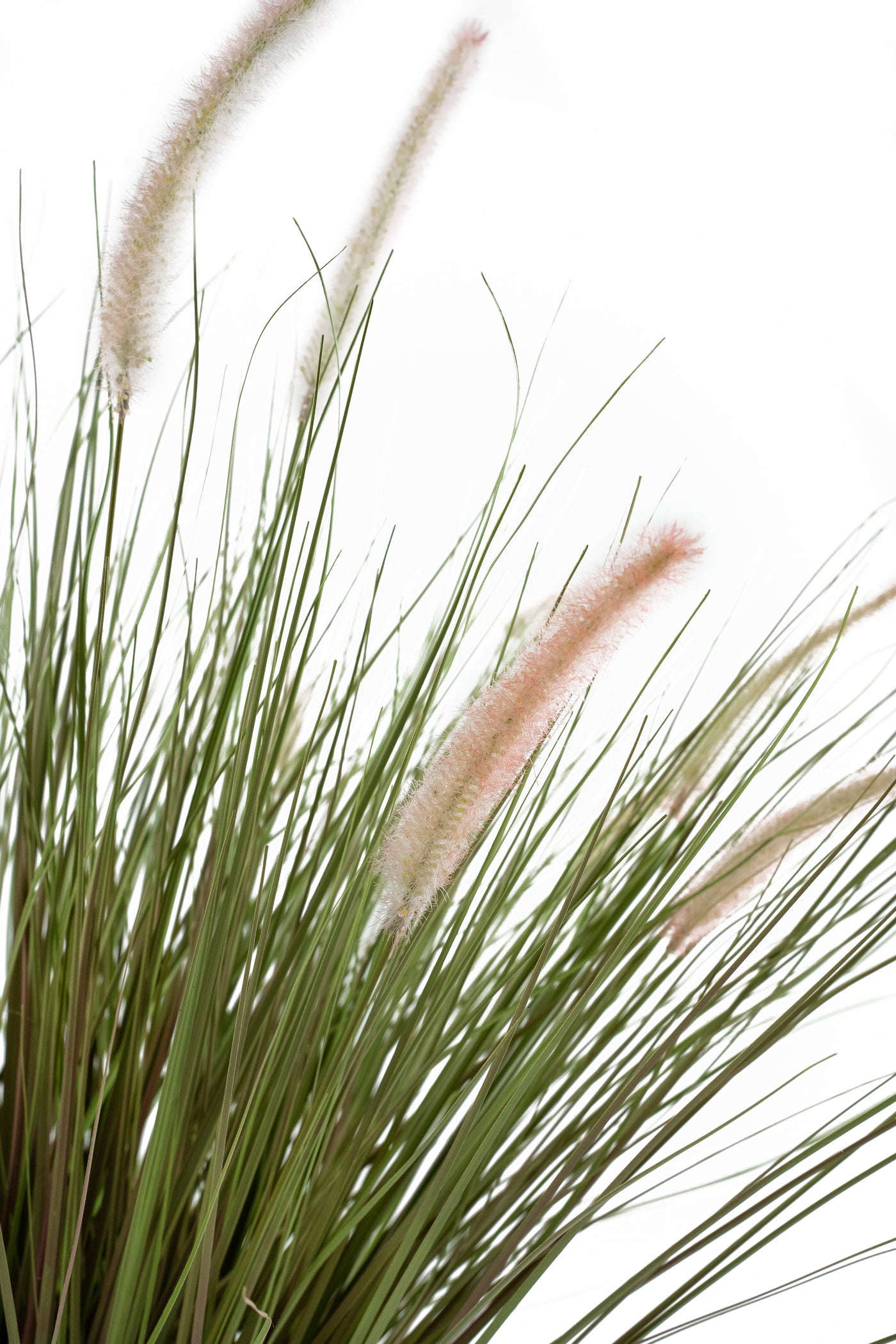 Iarba artificiala foxtail verde de toamna H100cm cu 18 flori albe