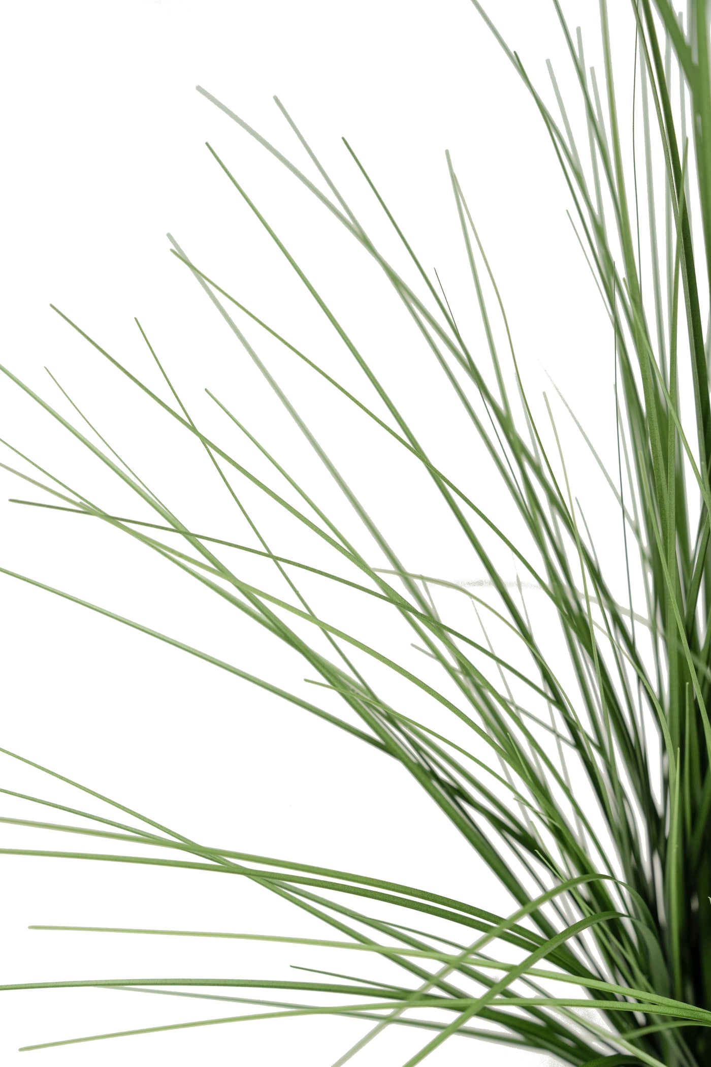 Iarba artificiala Onion 120 cm cu 10 flori de praz albe